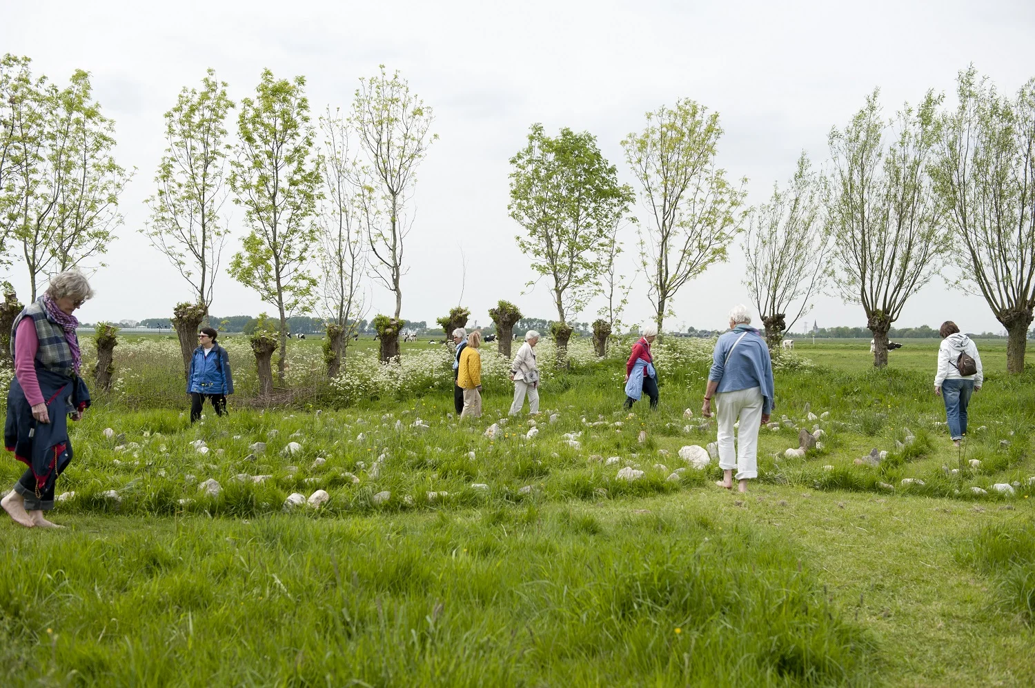 Hoeve levenslust blote voeten pad